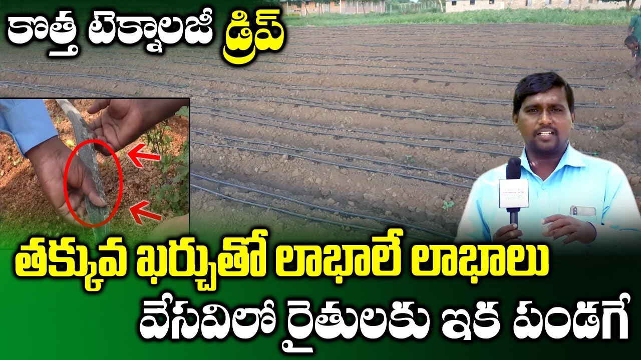 Low Cost Drip Irrigation System for Summer Crops | Agriculture ...