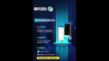 智能交易新时代：MT4/5平台自动化策略集成与流动性桥接技术解密
