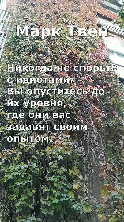 Не спорьте с идиотами - Марк Твен - YouTube