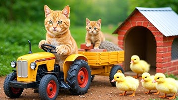 🐾 Full Video: A Day on the Cat Farm – Harvesting, Animal Care & Cooking with Mom Cat and Kitten