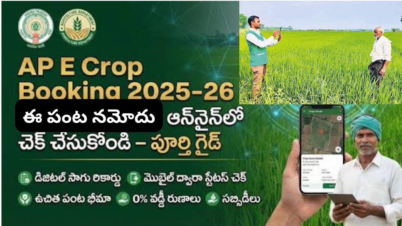 AP E-Crop Booking 2026 Latest Updates| ఈ పంట నమోదు ఆన్లైన్లో చెక్ చేసుకోండి ఇలా.