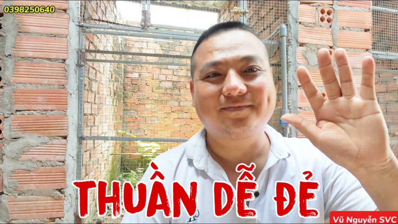 LỢI THẾ GHÉP CHIM THUẦN. Chích chòe lửa cặp zin thuần sẵn cho anh em nuôi sinh sản.