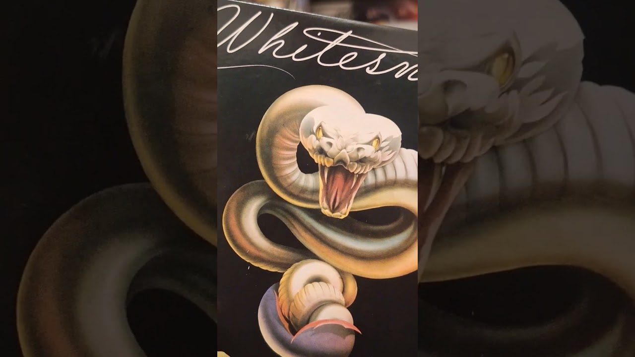 Whitesnake Little box 'O' Snakes 1978-1982 - YouTube