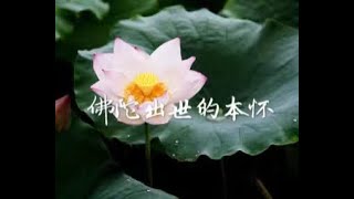 201401 佛陀出世的本怀30619