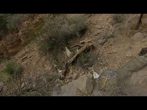 las cruces new mexico 30km desert trail run by Outdoor Adventures