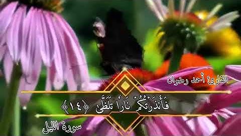ترتيل سورة الليل للقارئ الشيخ أحمد رضوان
