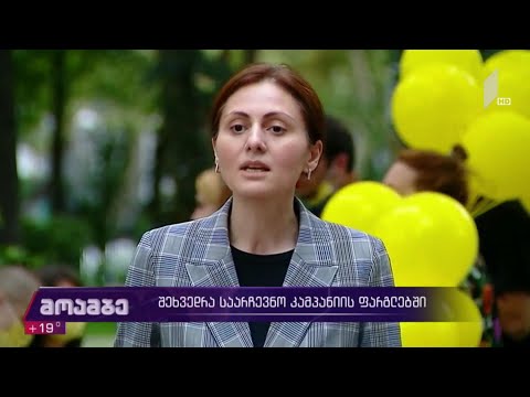 შეხვედრა საარჩევნო კამპანიის ფარგლებში
