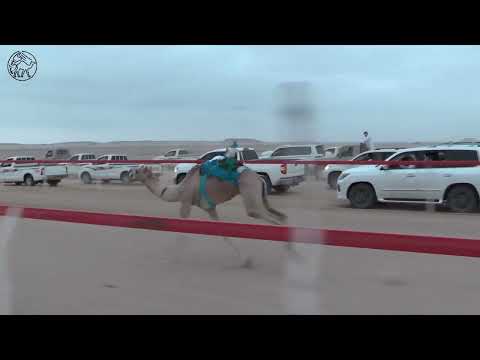 لوفان محمد بن علي بن سلطان الدرعي ميدان سيح العراد