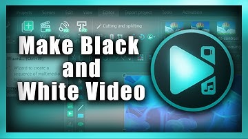 VSDC Video Editor:  How to Make Black and White Video in VSDC Video Editor