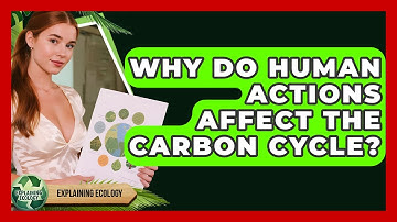 Why Do Human Actions Affect The Carbon Cycle? - Explaining Ecology