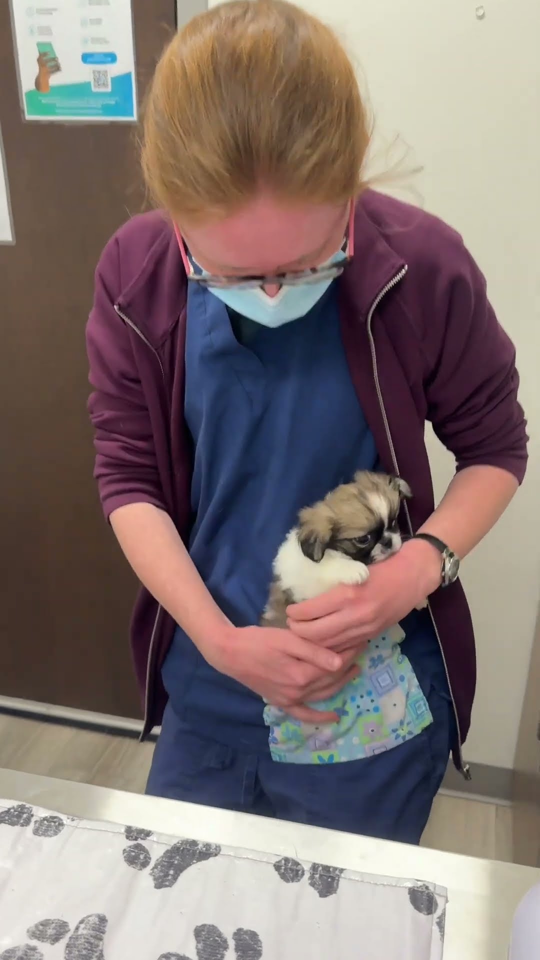Miss Ruby's First Time at the Vet || ViralHog