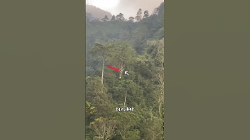 APES! KEMAGRIBAN PULANG DARI CURUG KETEMU KUNTILANAK NONGKRONG #viral #shorts #gunung #kuntilanak