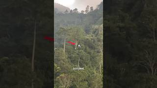 APES! KEMAGRIBAN PULANG DARI CURUG KETEMU KUNTILANAK NONGKRONG #viral #shorts #gunung #kuntilanak screenshot 5