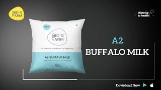 Sids Farm Fresh Milk A2 Buffalo Milk A2 Desi Cow Milk Cow Milk A2 Buffalo Double Toned Milk