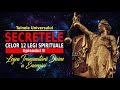 LEGEA TRANSMUTĂRII ENERGIEI | SECRETELE CELOR 12 LEGI SPIRITUALE ALE UNIVERSULUI | Episodul 9