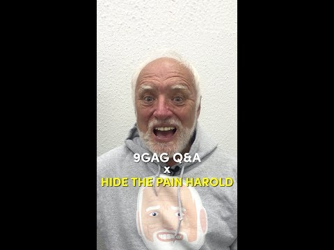 9gag-q&a-x-hide-the-pain-harold