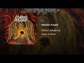 Mutilasi Jelangkung - Wasted Angels (Audio)