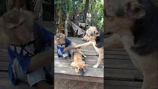 Amazing Video Best Sokyaa,Og, Pao & Mom Are Famous Around The World