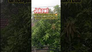 🇮🇩 Lagu viral P Jokowi #presidenjokowi