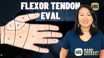 Flexor Tendon Injury & Evaluation | What