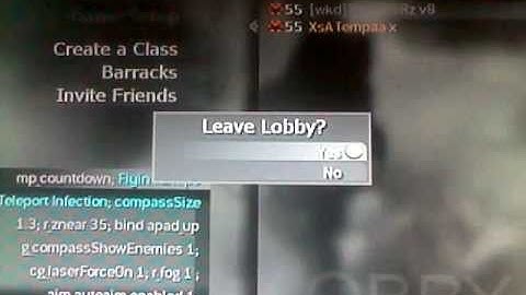 New Flyin Turnip infections on cod 4