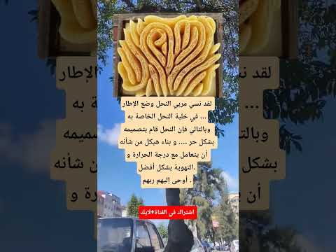 لقد نسي مربي النحل وضع الإطار في خلية النحل الخاصة به وبالتالي فإن النحل قام بتصميمه