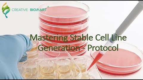 Mastering Stable Cell Line Generation - Protocol