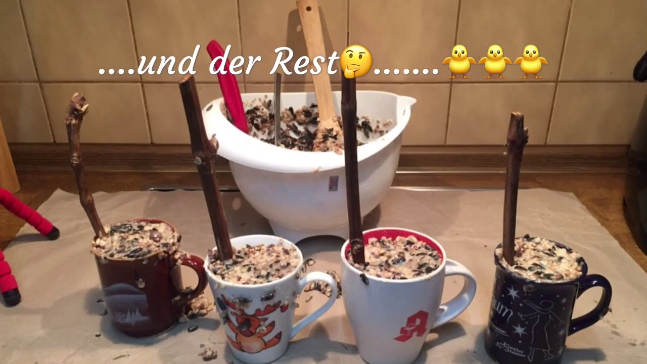🐥Vogelfutter, Futterale, Meisenknödel, Fettfutter ....einfach Selbermachen 🐥