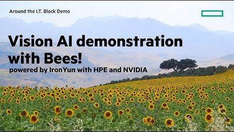 HPE Vision AI beehive demo