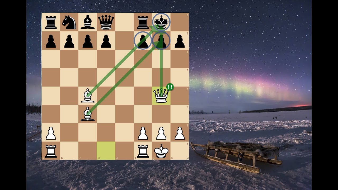 Один дебют и я забыл что такое скука | Северный Гамбит для начинающих ...