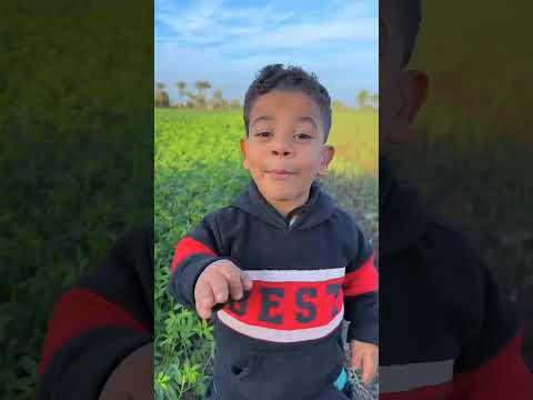 تجميعة أقوي فيديوهات كوميديا