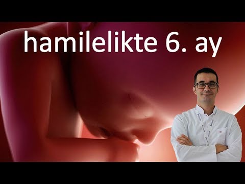 Video: Bir Bebek 6 Ayda Nasıl Görünür?