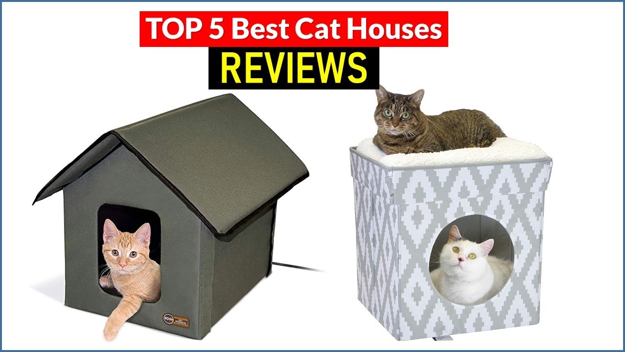BEST 5 Cat Houses Reviews Top 5 Best Cat Houses Buying Guide YouTube