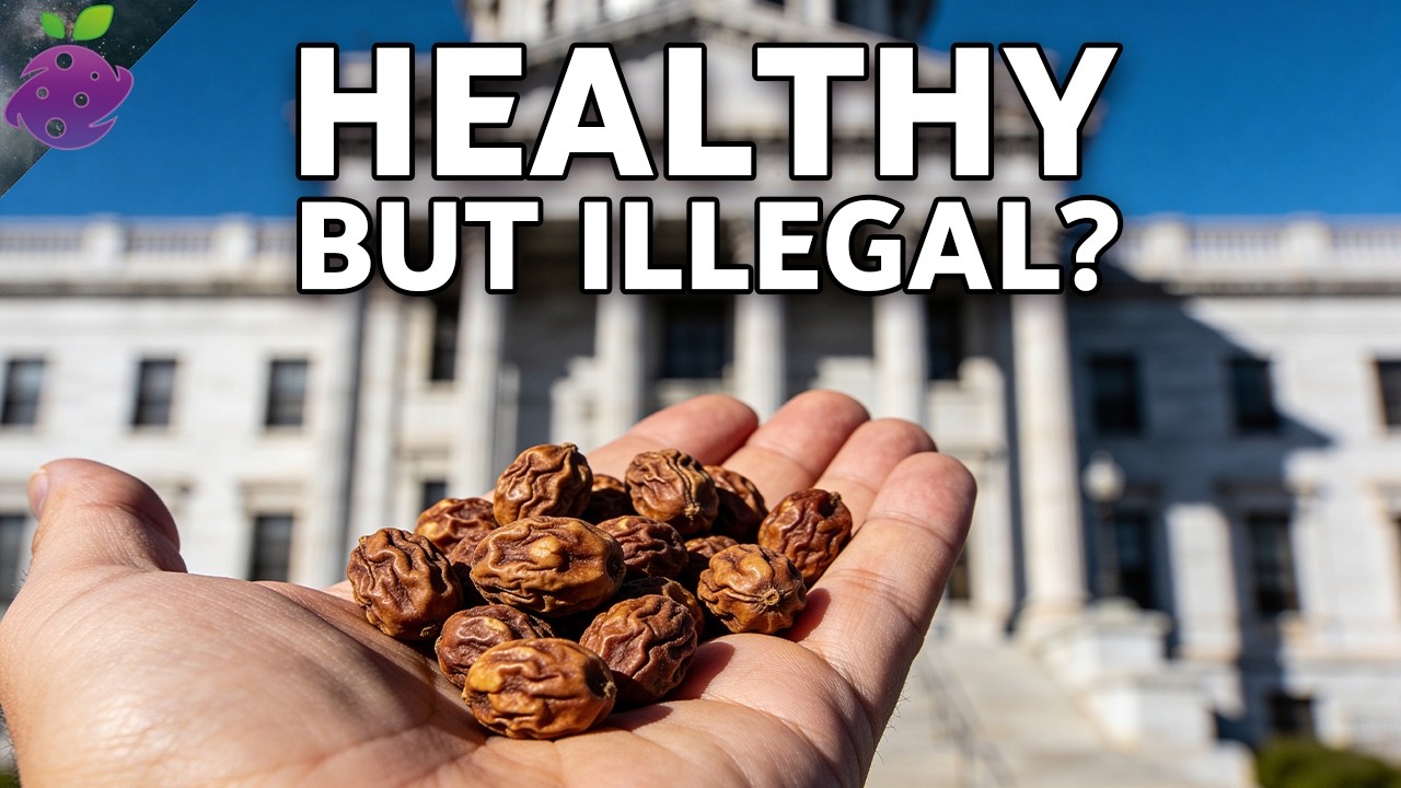 Самый полезный древний суперпродукт, выращивание которого в Америке запрещено (но почему?).