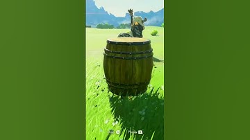 Did you know you could do this in BOTW? #shorts