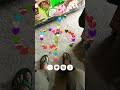#cosplayer