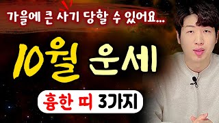 [띠별 운세] 양력 10월, 큰 사기 당할수도 있어요 !! 반드시 조심해야되는 띠 3가지