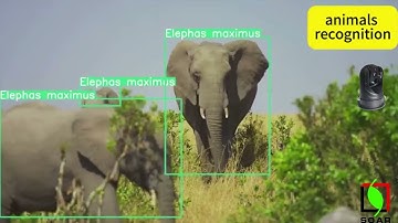 Smart Camera System with AI-Powered Wildlife Detection | Advanced Ecological Monitoring