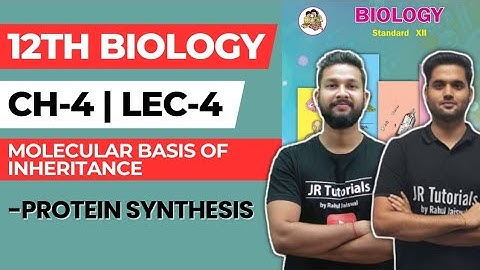 12th Biology | Chapter 4 | Molecular Basis of Inheritance | Lecture 4 | Protein Synthesis |