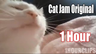 cat jam original 1 hour