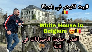 احد افضل و أجمل حديقة الحيوانات في اوربا| سائح عراقي في بلجيكا | Paire Daiza België ????