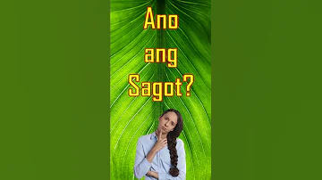 Bugtong Bugtong #1 | Panitikang Filipino | Short Video