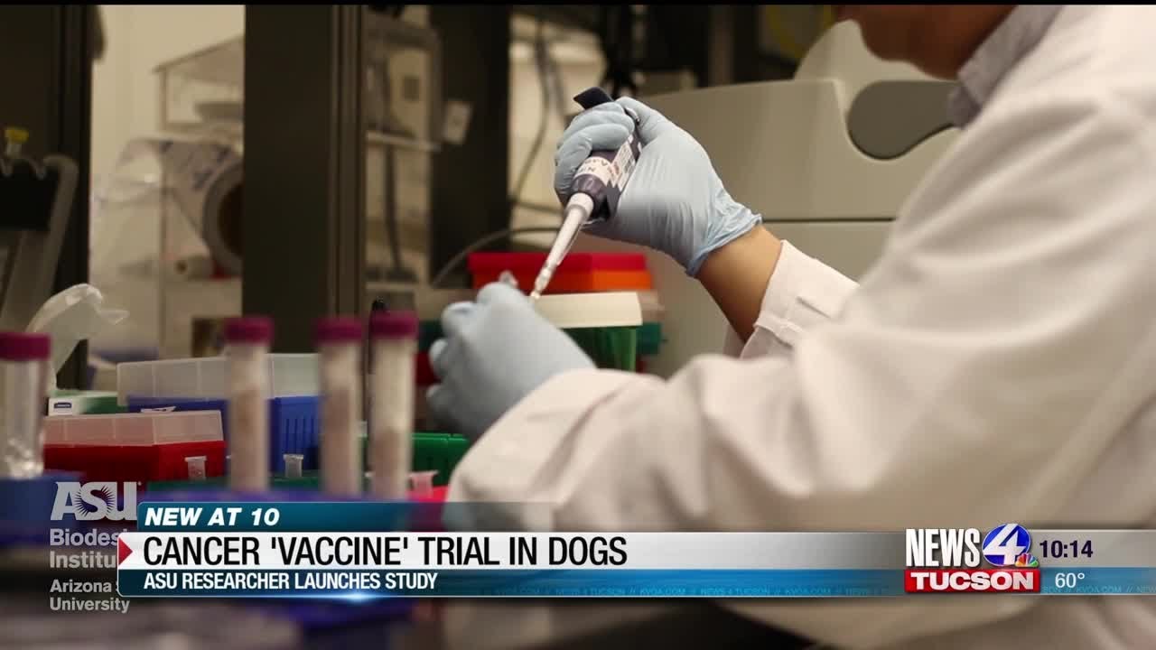 camera iphone 8 plus apk ASU researcher launches cancer 'vaccine' trial in dogs