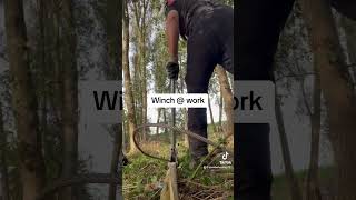 Winch @ work