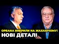 ❗ЦЕ НЕ ВРЯТУЄ ОРБАНА! ЩЕРБАК: влада Угорщини погоріла на фальсифікації, Словаччину накрили ПРОТЕСТИ