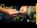 Rain Forest Hero Plants Over 30,000 Trees to Save the Amazon | Short Film Showcase