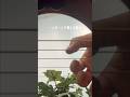 小人になって、わたしのギターに潜り込んだ気持ちで聴いてください #長さ