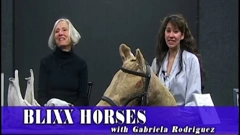 BLIXX HORSES  Your Horse's Best Interest "Bitted o...