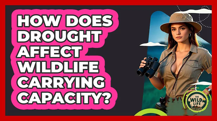 How Does Drought Affect Wildlife Carrying Capacity? - The Wild Life Explorer