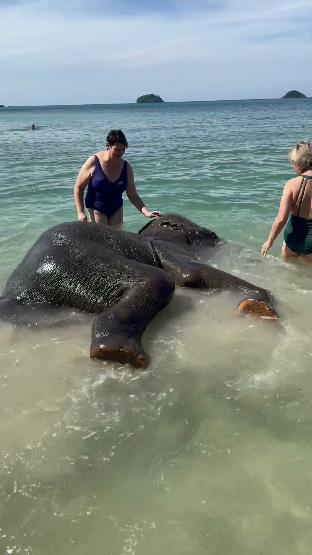 Elephants Bathe in the Sea With Humans || ViralHog